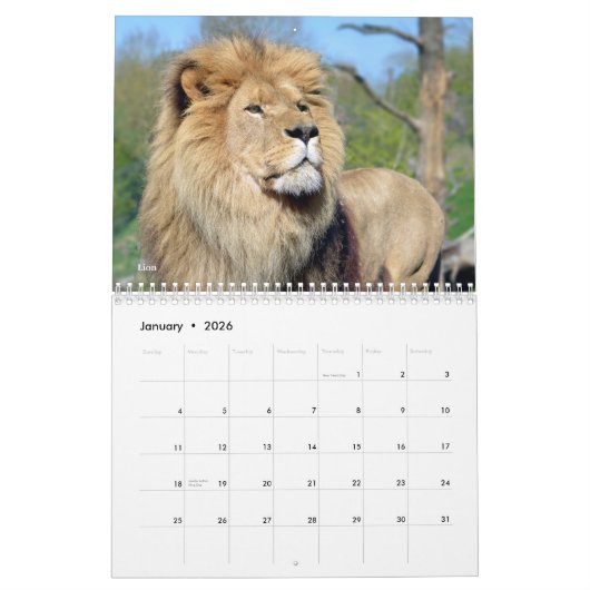 African animals 12 month calendar カレンダー (1月 2026)
