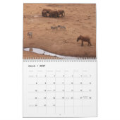 African Animals 2026 Calendar カレンダー (3月 2027)