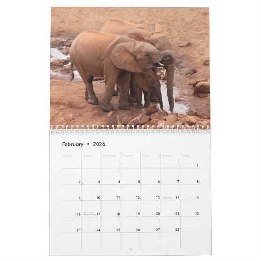 African Animals 2026 Calendar カレンダー (2月 2026)