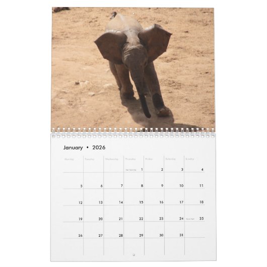 African Animals 2026 Calendar カレンダー (1月 2026)