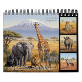 African Animals Calendar 2026 / wild Africa カレンダー (カバー)