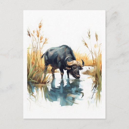 African Buffalo at Water’s Edge シーズンポストカード (正面)