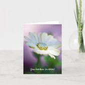 African Daisy Greeting Card カード (正面)