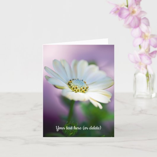 African Daisy Greeting Card カード (蘭)