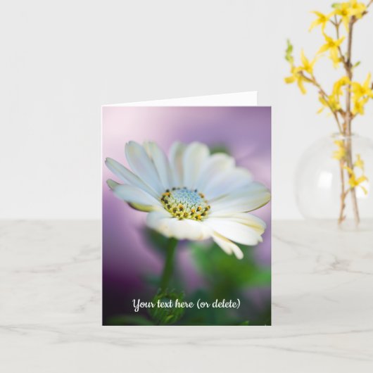 African Daisy Greeting Card カード (黄色い花)