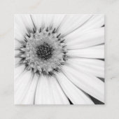 African Daisy Monochrome Floral Square Business Ca スクエア名刺 (正面)