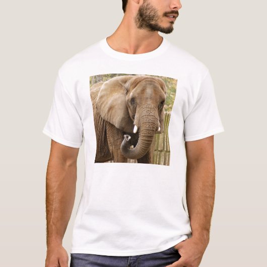 African_Elephant_008 Tシャツ (正面)