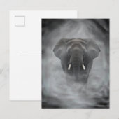 African Elephant in Misty Fog Serene Impasto ポストカード (正面/裏面)