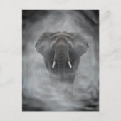 African Elephant in Misty Fog Serene Impasto ポストカード (正面)