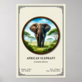 African Elephant Zoology Series ポスター (正面)