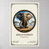 African Elephant Zoology Series ポスター (正面)