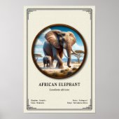 African Elephant Zoology Series ポスター (正面)