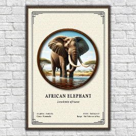 African Elephant Zoology Series ポスター