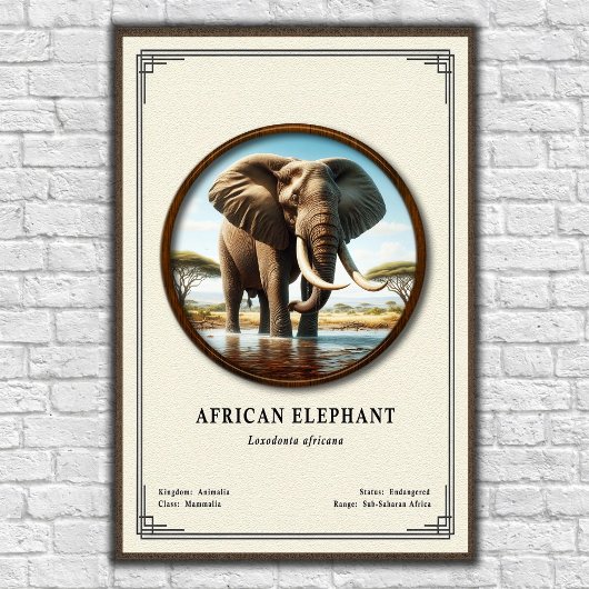 African Elephant Zoology Series ポスター