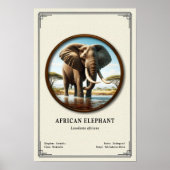 African Elephant Zoology Series ポスター (正面)