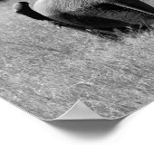 African Elephants in the Masai Mara, Kenya ポスター (角)