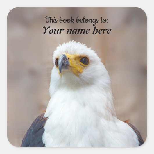 African Fish Eagle Sticker スクエアシール (正面)