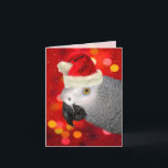 African Gray Parrot in a Santa Hat Blank シーズンカード<br><div class="desc">Festive bokeh background in red and gold with falling snow create an adorable holiday blank note card for the parrot lover,  featuring a painting of an African Gray wearing a Santa hat and coordinating inside design. This is an exclusive design from PAWSitivelyPETrageous.com.</div>