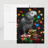 African Grey on Gifts — Festive Greeting Card ポストカード (正面/裏面)