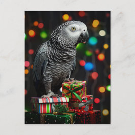 African Grey on Gifts — Festive Greeting Card ポストカード