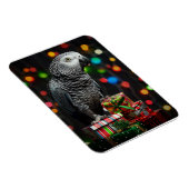 African Grey on Gifts — Festive Greeting Card マグネット (右側)