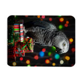 African Grey on Gifts — Festive Greeting Card マグネット (横)