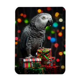 African Grey on Gifts — Festive Greeting Card マグネット