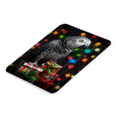 African Grey on Gifts — Festive Greeting Card マグネット (左側)