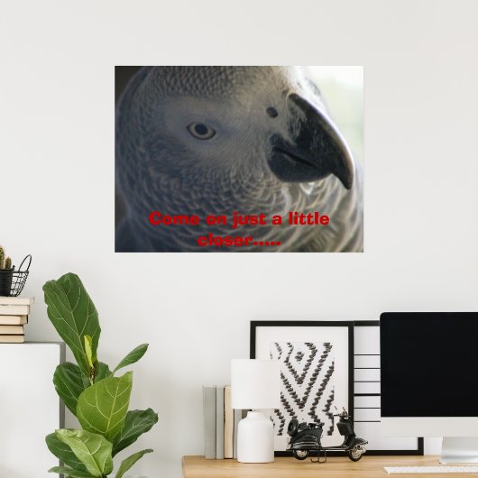 African Grey Parrot ポスター (ホームオフィス)