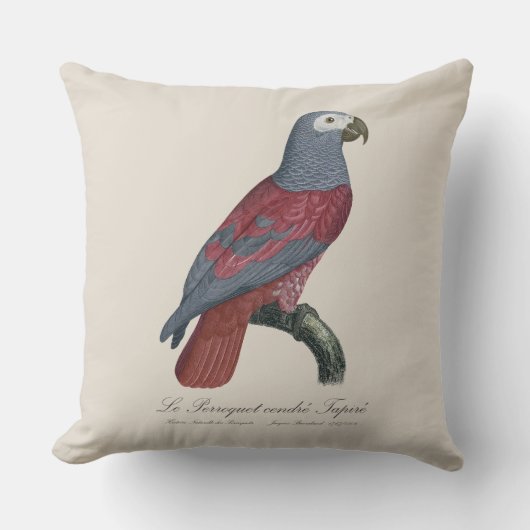 African Grey Parrot Red Factor Psittacus Erithacus クッション (正面)