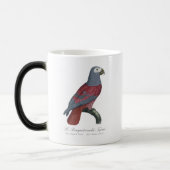 African Grey Parrot Red Factor Psittacus Erithacus モーフィングマグカップ (左)