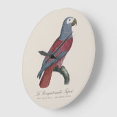 African Grey Parrot Red Factor Psittacus Erithacus ラージ壁時計 (傾斜)