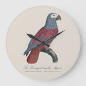 African Grey Parrot Red Factor Psittacus Erithacus ラージ壁時計 (正面)