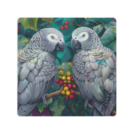 African Grey Parrots Persimmon-Berry Duet メタルプリント
