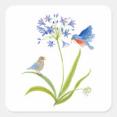 African Lily with Bluebird Mother and Baby スクエアシール (正面)
