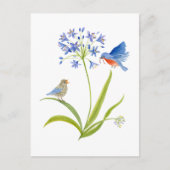 African Lily with Bluebird Mother and Baby ポストカード (正面)