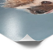African Pigmy Hedgehog Poster フォトプリント (角)