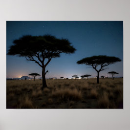African Savanna Acacia Trees Stars Night Landscape ポスター