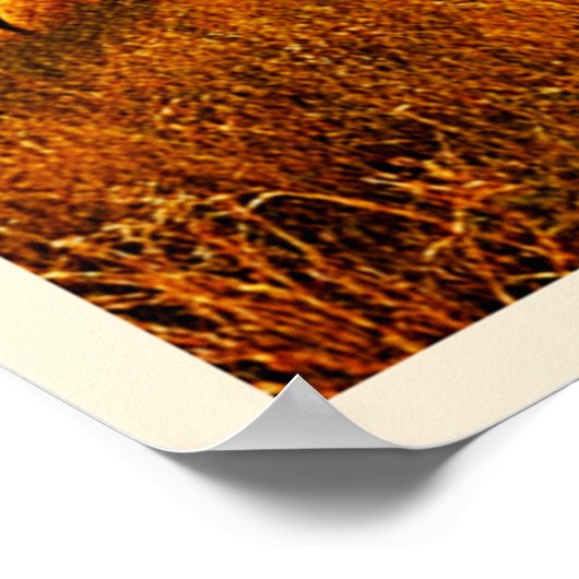 African Sunset Safari Majesty Design ポスター (角)