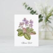 African Violet Curtis Botanical ポストカード (スタンド正面)