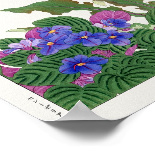African violet, Gerbera by Tanigami Konan ポスター (角)