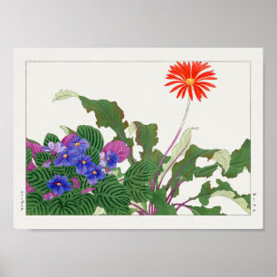 African violet, Gerbera by Tanigami Konan ポスター