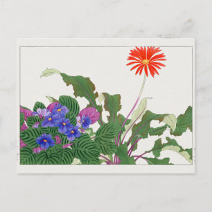 African violet, Gerbera by Tanigami Konan ポストカード