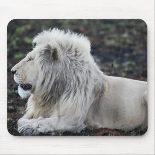 African White Lionプロフィール写真 マウスパッド