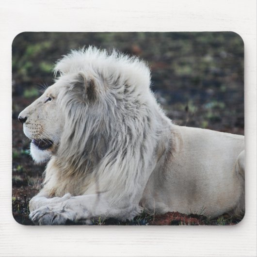 African White Lionプロフィール写真 マウスパッド (正面)