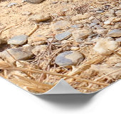 African Wild Dog showing its teeth ポスター (角)