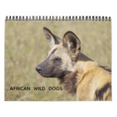 AFRICAN WILD DOGS カレンダー (カバー)