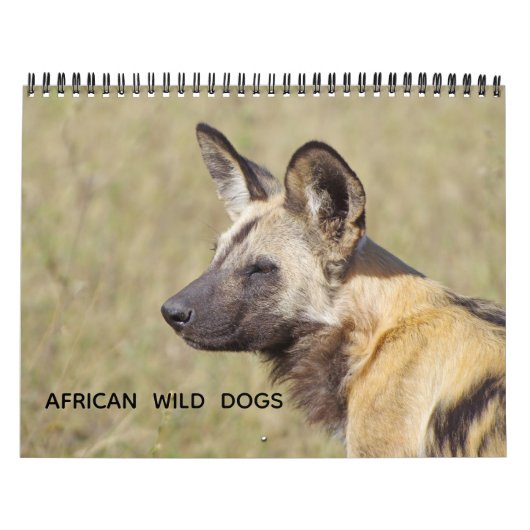 AFRICAN WILD DOGS カレンダー (カバー)