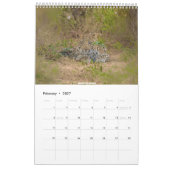 African Wildlife Calendar 2026 カレンダー (2月 2027)