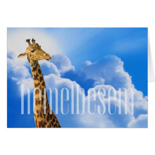 #AfrikaansIsLekker – ヘメルベセム (正面横)